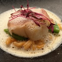 マダム・トキ - 北海道産ホタテ貝柱ソテー桜エビのリゾット ハマグリの香るブイヨン