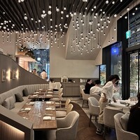 TRATTORIA PIZZERIA 207 渋谷店 -  TRATTORIA PIZZERIA 207 渋谷店 -