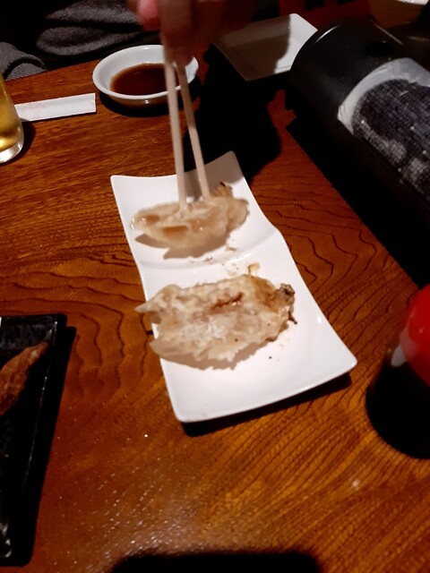 Motsu-nabe Gyoza Eiraku photo 3