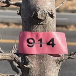 インデアンレストラン  ニューミラ - 