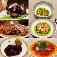 スガラボヴィー - 