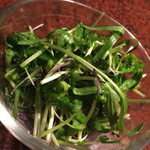 焼肉うしごろ - スプラウトサラダ（豆苗・空心菜をライムと塩のドレッシングで）