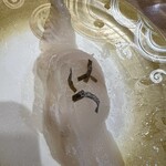 回転寿し トリトン 北8条光星店 - 