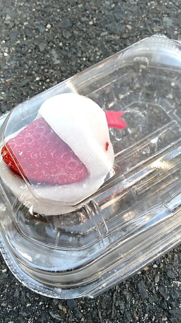 Kofuku Do Ionmoru Yamatokoriyama Ten