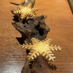 レストラン スノゥ - 