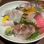 Sake Sakana Shunsai Rikari - 