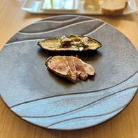 SCALAE - 
