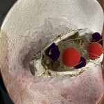 ESPRIT C. KEI GINZA - 