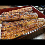 うなぎ専門店 本多 - 