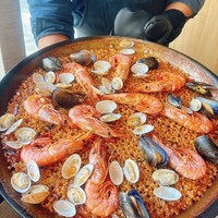 anchoa - 