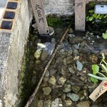 わさび園　かどや - 