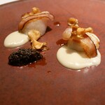 プレヴナンス - 