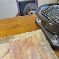 ふぐ料理 うめい - 
