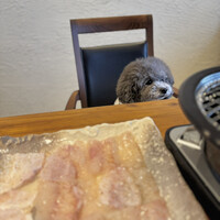 ふぐ料理 うめい - 