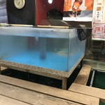 さかな道楽 - 水槽には数匹