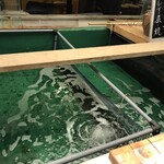 さかな道楽 - 生け簀には魚がいなかった