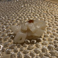 北新地 すし通 - 