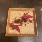 オッジ ダルマット 西麻布店 - 