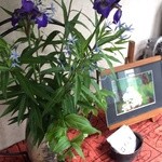 蕎麦喰い処 利めい庵 - 