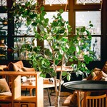 Jose Luis Karuizawa - 内観