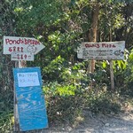 ポンチーズ・ピザ - 