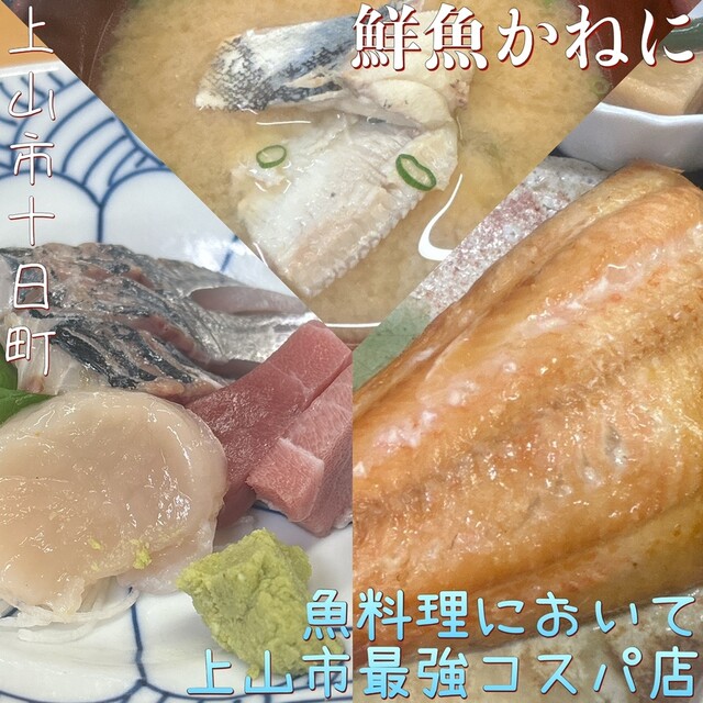 鮮魚かねに &ndash; かみのやま温泉の海鮮料理 | 上山市の新鮮魚介店