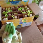 陣馬山頂　清水茶屋 - 