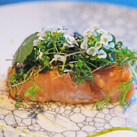 BURDIGALA MARUNOUCHI The Restaurant - ランチコース 5500円 の燻製サーモン ハーブのサラダとフランボワーズ