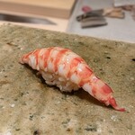 神田錦町 鮨たか晴 - 車海老