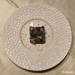 プチレストラン ブーケ・ド・フランス - 真鯵とジャンボン･クリュのプレッセ