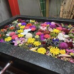 岩井屋 - 鷲尾愛宕神社　手水所