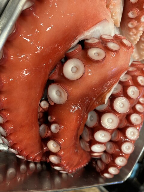 和料理 紫音 - 勾当台公園（日本料理）の写真