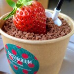 グリナリウム淡路島 - いちご畑