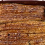 宮川本廛 - 2025/1