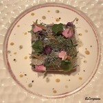 プチレストラン ブーケ・ド・フランス - 真鯵とジャンボン･クリュのプレッセ