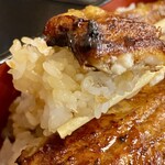 うなぎ新川 - うな重(梅) ご飯大盛り