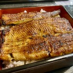 うなぎ新川 - うな重(梅) ご飯大盛り