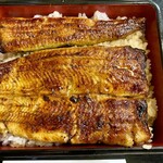 うなぎ新川 - うな重(梅) ご飯大盛り