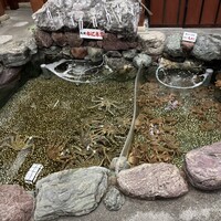 札幌 かに本家 札幌駅前本店 - 