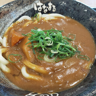 うどん丸。 東洋水産 マルちゃん 稲庭風細うどん 180g×2食 | イオン