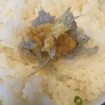むさしや - 生しらすと生姜をご飯に…