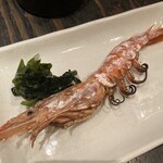 かかしのいねむり - 