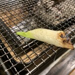 肉の雷橋 - マコモダケ