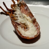 IL LUPINO PRIME - 
