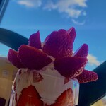 フルーツガーデン シン・サン - 