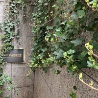 セ シュエット - 