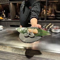 赤坂鉄板焼 ヒレ - 
