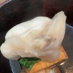 日本料理 TOBIUME - 5キロの天然虎河豚　歯ごたえ良く濃厚な味わい　　肉質の旨味に香りを感じる　美味しすぎる◎