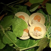 ワインと和食 みくり - 