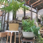 八丈島ボタニカル&カフェ DRACO - 